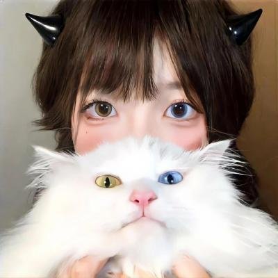 小岛奇谭